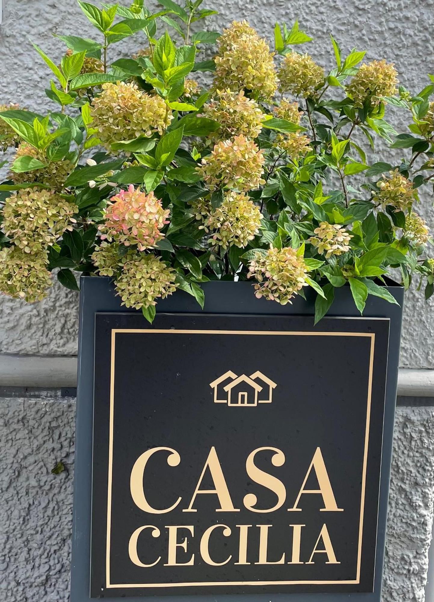 Casa Cecilia Apartment Wetzikon Exterior photo